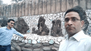 How many rock rocking?